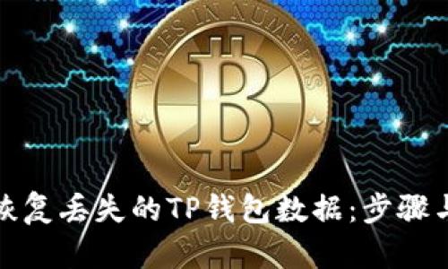 如何恢复丢失的TP钱包数据：步骤与技巧