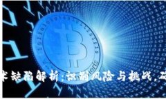加密货币技术缺陷解析：