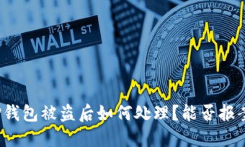 TP钱包被盗后如何处理？能否报案？