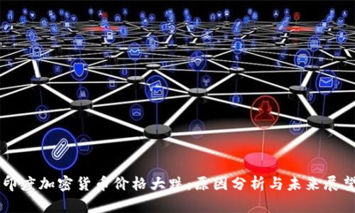 印度加密货币价格大跌：原因分析与未来展望