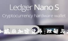 新加坡非加密货币：理解