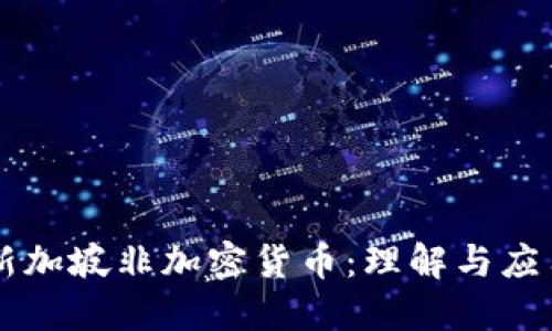 新加坡非加密货币：理解与应用