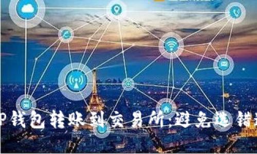 如何正确使用TP钱包转账到交易所：避免选错通道的详细指南