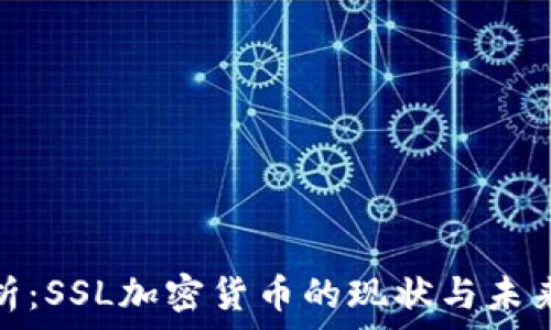   
全解析：SSL加密货币的现状与未来趋势