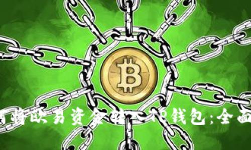  如何将欧易资金转入TP钱包：全面指南