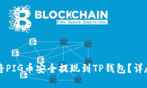 如何将PIG币安全提现到TP钱包？详尽指南