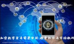 加密数字货币前景分析：
