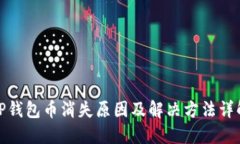 TP钱包币消失原因及解决方