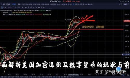 全面解析美国加密运维及数字货币的现状与前景