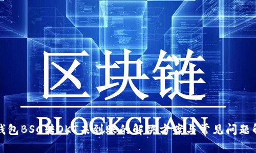 tp钱包BSC转OKT未到账的解决方案与常见问题解析