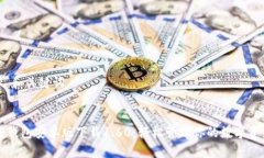 # 和关键词TP钱包安卓版下