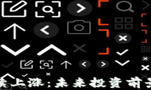 
数字加密货币持续上涨：未来投资前景分析与风险管理