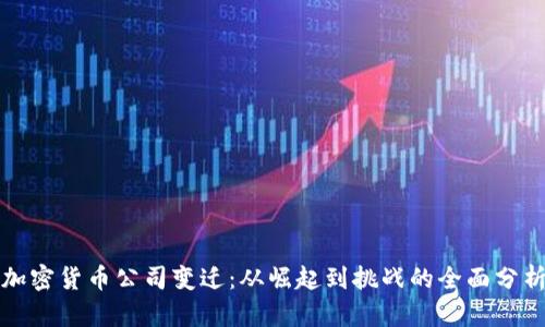 加密货币公司变迁：从崛起到挑战的全面分析