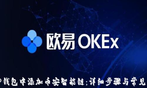 
如何在TP钱包中添加币安智能链：详细步骤与常见问题解答