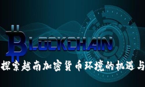 深入探索越南加密货币环境的机遇与挑战