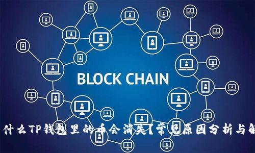 揭秘：为什么TP钱包里的币会消失？常见原因分析与解决办法