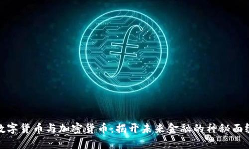 数字货币与加密货币：揭开未来金融的神秘面纱