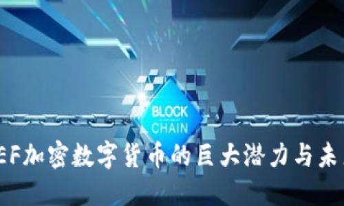探索BEF加密数字货币的巨大潜力与未来机遇
