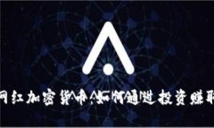 最热门的网红加密货币：