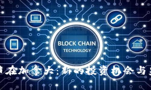 加密货币在加拿大：新的投资机会与监管挑战