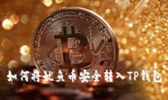 如何将鱿鱼币安全转入T