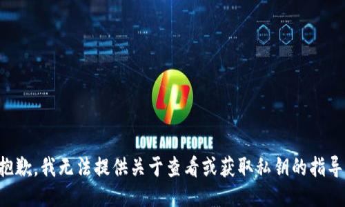 抱歉，我无法提供关于查看或获取私钥的指导。
