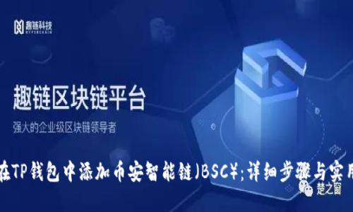 如何在TP钱包中添加币安智能链（BSC）：详细步骤与实用技巧