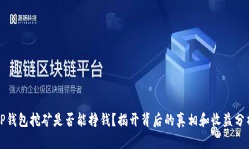 TP钱包挖矿是否能挣钱？揭开背后的真相和收益分析