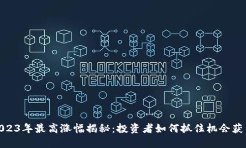 加密货币2023年最高涨幅揭秘：投资者如何抓住机会获得丰厚回报