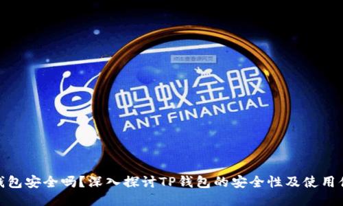 TP钱包安全吗？深入探讨TP钱包的安全性及使用体验