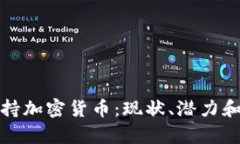 喀麦隆支持加密货币：现