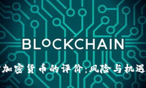 美国人对加密货币的评价：风险与机遇的双刃剑