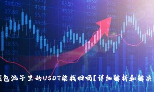 TP钱包池子里的USDT能找回吗？详细解析和解决方案