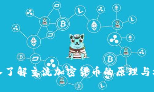 深入了解主流加密货币的原理与机制