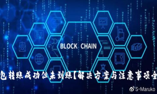 TP钱包转账成功但未到账？解决方案与注意事项全解析