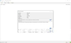 2023年加密货币的全球发行