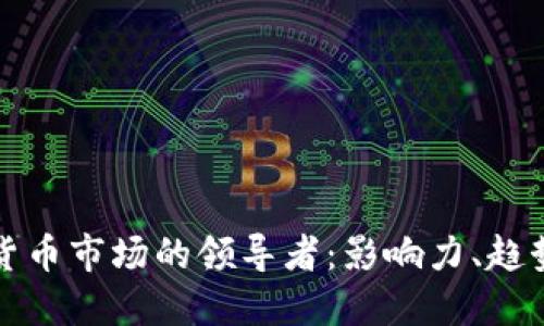 土耳其加密货币市场的领导者：影响力、趋势与未来发展