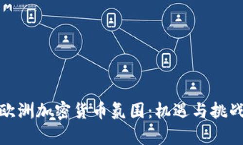 探索欧洲加密货币氛围：机遇与挑战并存