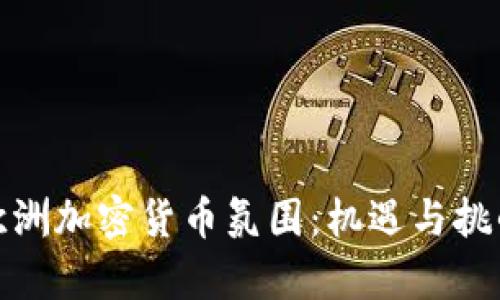 探索欧洲加密货币氛围：机遇与挑战并存