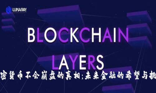 加密货币不会崩盘的真相：未来金融的希望与挑战