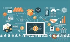 加密货币寒冬：如何在市