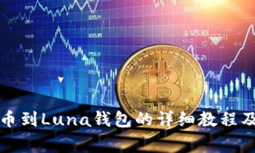TP钱包提币到Luna钱包的详细教程及注意事项