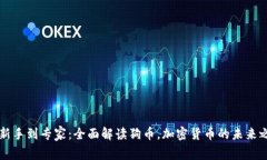 从新手到专家：全面解读