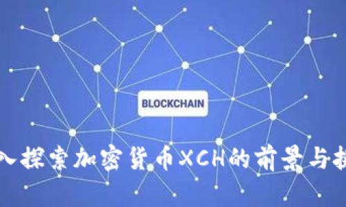 深入探索加密货币XCH的前景与挑战