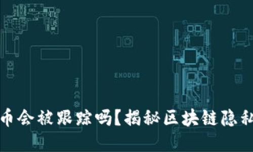 TP钱包转币会被跟踪吗？揭秘区块链隐私与安全性