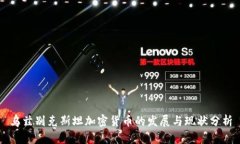 乌兹别克斯坦加密货币的