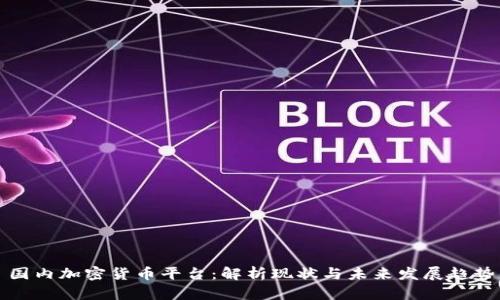 国内加密货币平台：解析现状与未来发展趋势