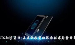 STC加密货币：未来的投资