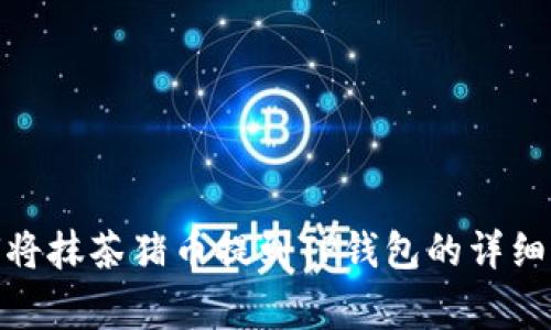 全面解析:如何将抹茶猪币提到TP钱包的详细步骤与注意事项