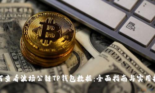 如何查看波场公链TP钱包数据：全面指南与实用技巧